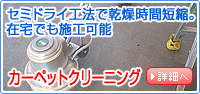 �J�[�y�b�g�N���[�j���O